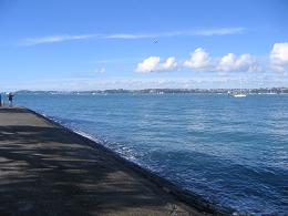 Devonport Library